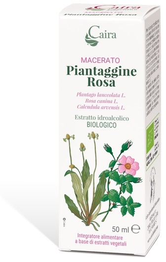 CAIRA PIANTAGGINE ROSA MACERATO IDROALCOLICO GOCCE 50 ML - farmachicca