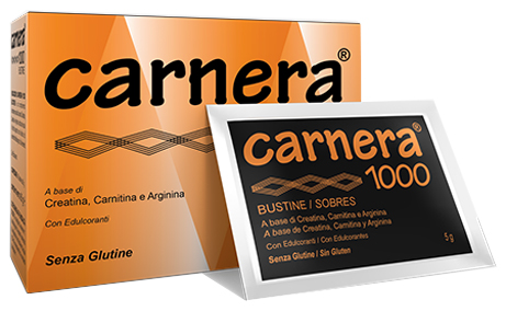 CARNERA 1000 18 BUSTINE - farmachicca