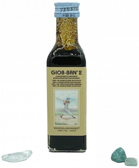 GIOB BAN 2 ART ESTRATTO CONCENTRATO BIOLOGICO 100 ML - farmachicca
