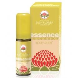 CONCENTRATION SPRAY ORALE 20 ML - farmachicca