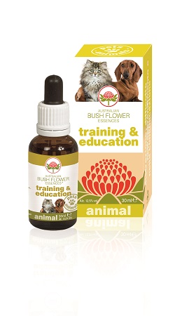 TRAINING & EDUCATION 30 ML - farmachicca
