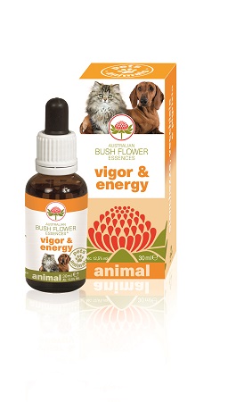 VIGOR & ENERGY 30 ML - farmachicca