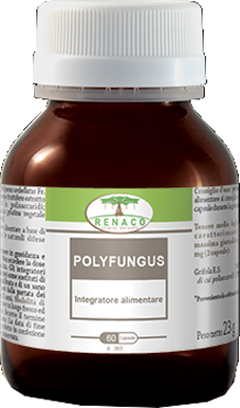 POLYFUNGUSS 60 CAPSULE 350 MG - farmachicca