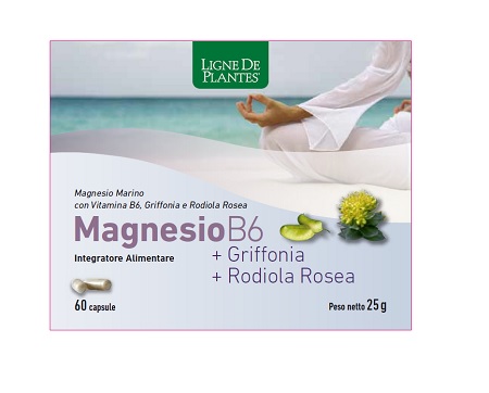 MAGNESIO B6 + GRIFFONIA + RODIOLA 60 CAPSULE - farmachicca