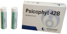 PSICOPHYT REMEDY 42B 4 TUBI 1,2G - farmachicca