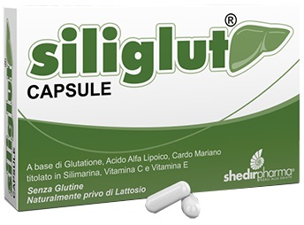 SILIGLUT 20 CAPSULE - farmachicca