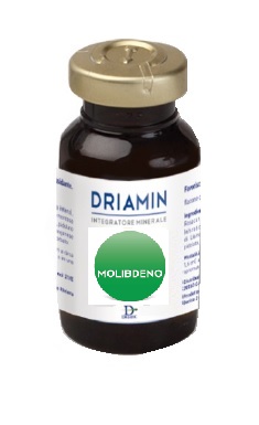 DRIAMIN MOLIBDENO 15 ML - farmachicca