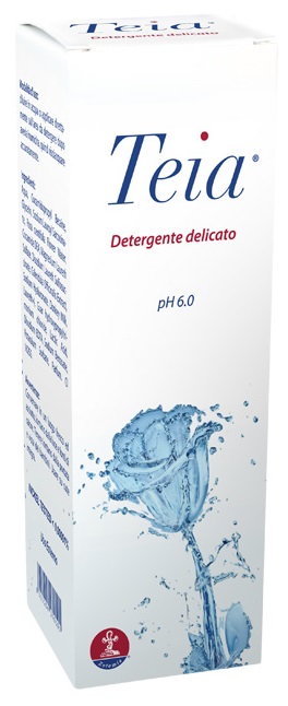 TEIA DETERGENTE CORPO 250 ML - farmachicca