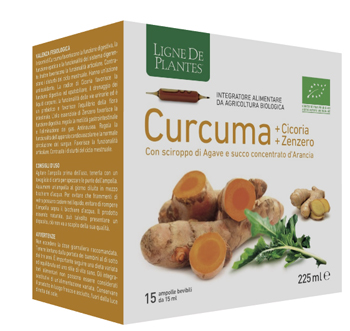 CURCUMA CICORIA ZENZERO BIO 15 AMPOLLE BEVIBILI DA 15 ML - farmachicca