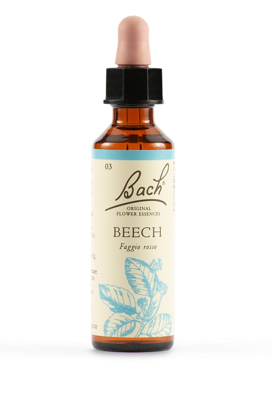BEECH BACH ORIG 20 ML - farmachicca