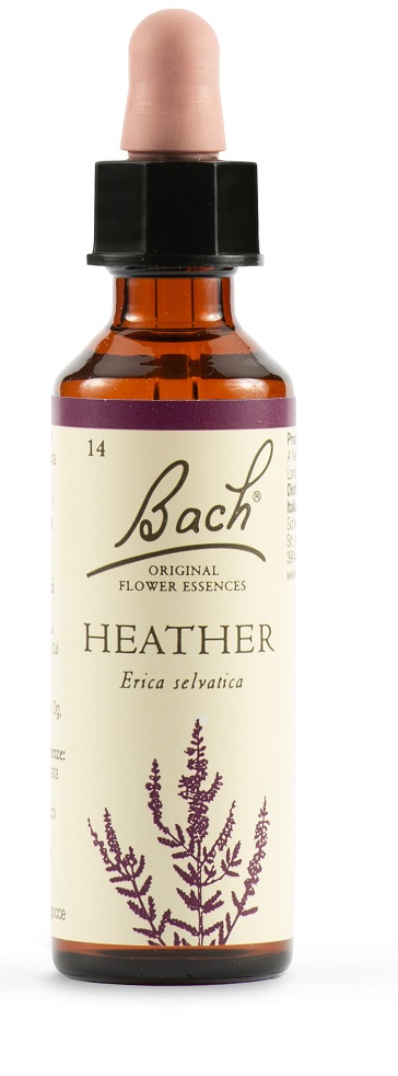 HEATHER BACH ORIG 20 ML - farmachicca