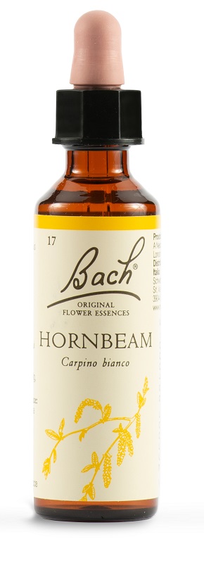 HORNBEAM BACH ORIG 20 ML - farmachicca
