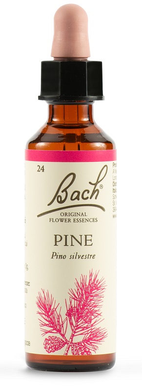 PINE BACH ORIG 20 ML - farmachicca