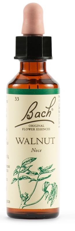 WALNUT BACH ORIG 20 ML - farmachicca