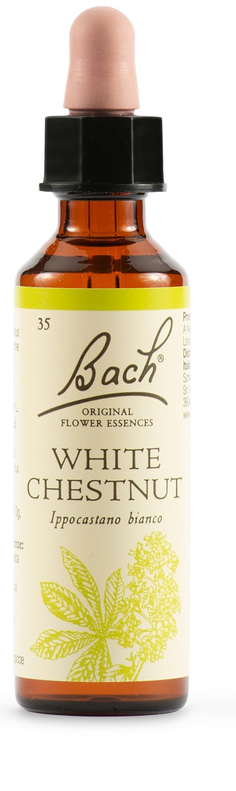 WHITE CHEST BACH ORIG 20 ML - farmachicca