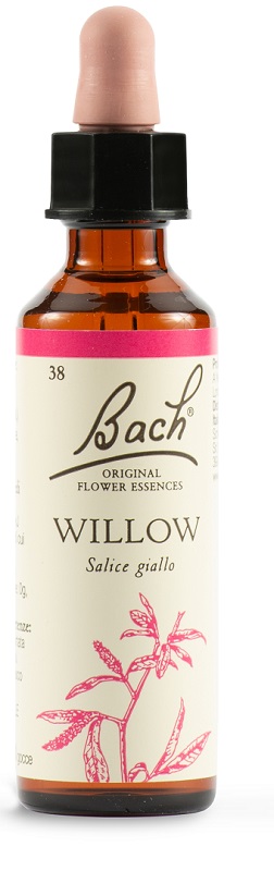 WILLOW BACH ORIG 20 ML - farmachicca
