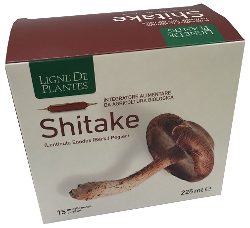 LIGNE DE PLANTES SHITAKE BIO 15 AMPOLLE DA 15 ML - farmachicca