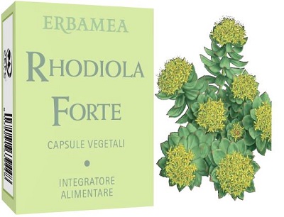 RHODIOLA FORTE 24 CAPSULE - farmachicca