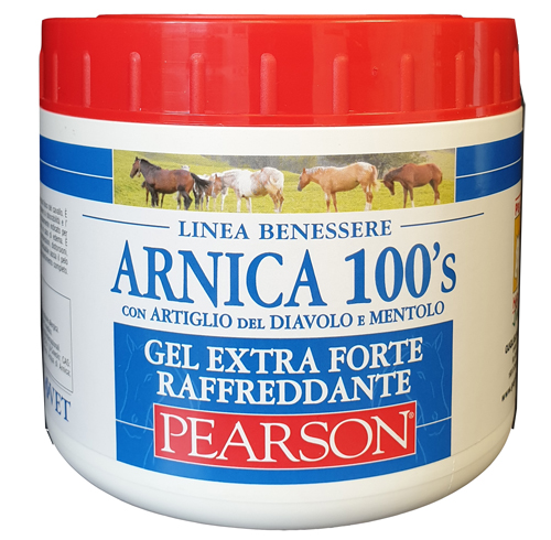 ARNICA 100'S EXTRA FORTE 500 ML - farmachicca