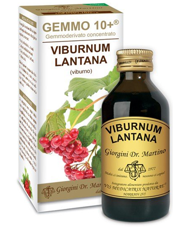 VIBURNO LIQUIDO ANALCOLICO GEMMO 10+ 100 ML - farmachicca