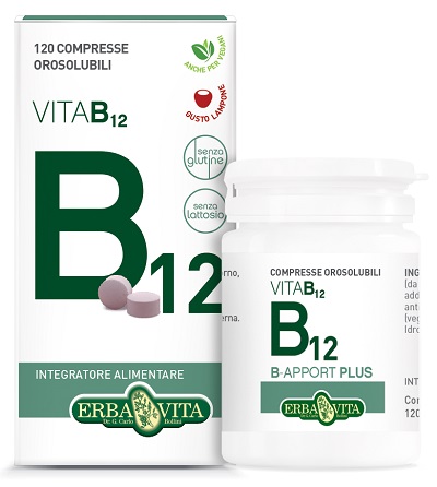 B APPORT PLUS 120 COMPRESSE OROSOLUBILI - farmachicca