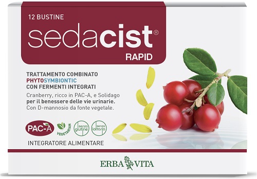 SEDACIST RAPID 6 + 6 BUSTINE - farmachicca