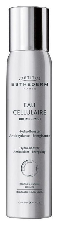 INSTI EAU CELLULAIRE BRUME 100 ML - farmachicca