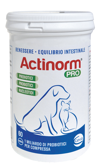 ACTINORM PRO FLACONE 60 COMPRESSE - farmachicca