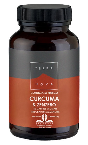 TERRANOVA CURCUMA 400MG/ZENZERO 200MG 50 CAPSULE - farmachicca