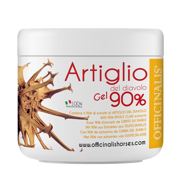 ARNICA GEL 90% 250 ML - farmachicca