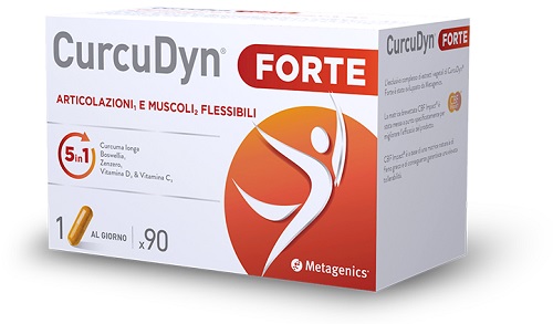 CURCUDYN FORTE 90 CAPSULE - farmachicca