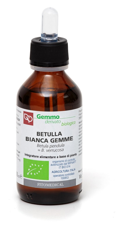 BETULLA BIANCA GEMME MACERATO GLICERICO 100 ML BIO - farmachicca