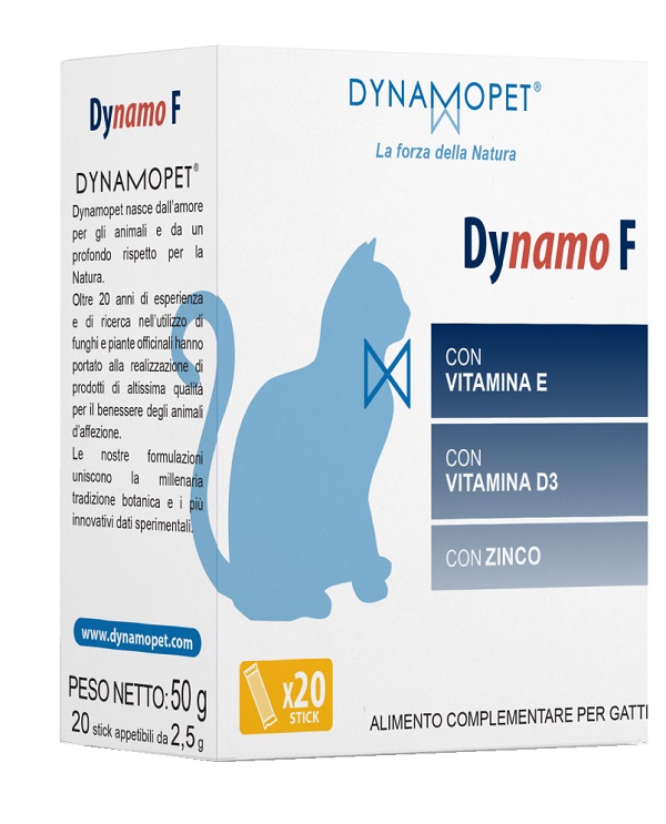 DYNAMO F 20 STICK DA 2,5 G - farmachicca